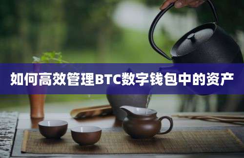 如何高效管理BTC数字钱包中的资产