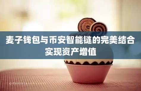 麦子钱包与币安智能链的完美结合实现资产增值