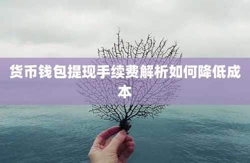 货币钱包提现手续费解析如何降低成本