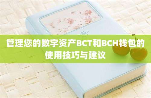 管理您的数字资产BCT和BCH钱包的使用技巧与建议