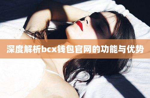 深度解析bcx钱包官网的功能与优势