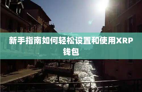 新手指南如何轻松设置和使用XRP钱包