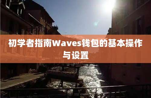 初学者指南Waves钱包的基本操作与设置