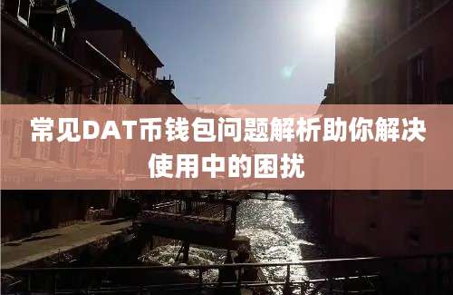 常见DAT币钱包问题解析助你解决使用中的困扰