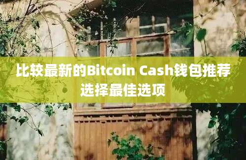 比较最新的Bitcoin Cash钱包推荐选择最佳选项