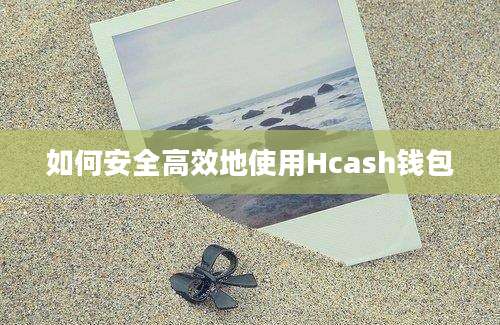 如何安全高效地使用Hcash钱包