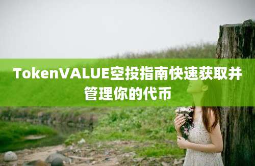 TokenVALUE空投指南快速获取并管理你的代币