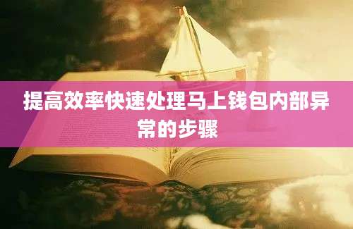 提高效率快速处理马上钱包内部异常的步骤