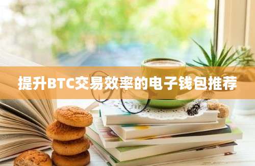 提升BTC交易效率的电子钱包推荐