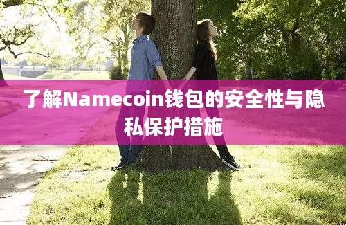 了解Namecoin钱包的安全性与隐私保护措施