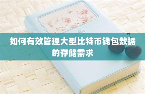 如何有效管理大型比特币钱包数据的存储需求