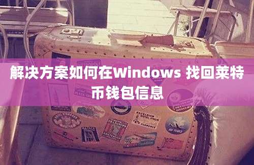 解决方案如何在Windows 找回莱特币钱包信息