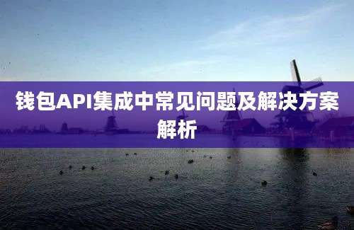 钱包API集成中常见问题及解决方案解析