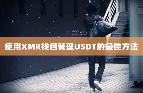 使用XMR钱包管理USDT的最佳方法