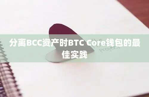 分离BCC资产时BTC Core钱包的最佳实践