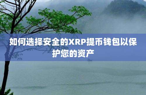 如何选择安全的XRP提币钱包以保护您的资产