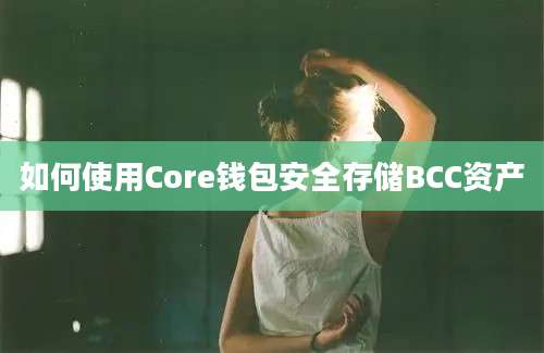 如何使用Core钱包安全存储BCC资产