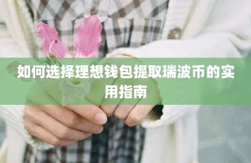 如何选择理想钱包提取瑞波币的实用指南