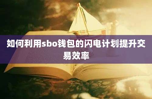 如何利用sbo钱包的闪电计划提升交易效率