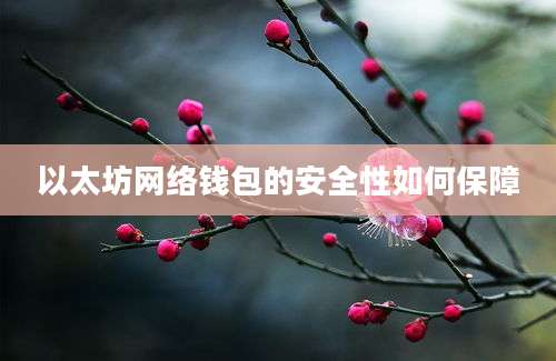 以太坊网络钱包的安全性如何保障