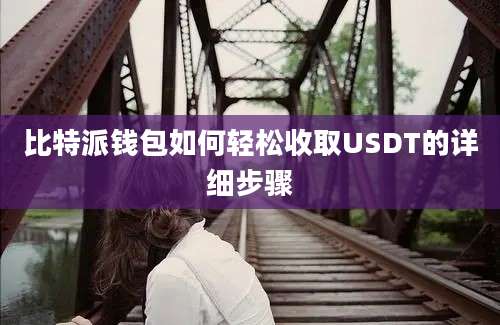 比特派钱包如何轻松收取USDT的详细步骤