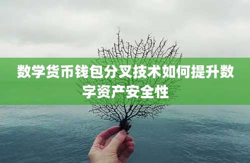 数学货币钱包分叉技术如何提升数字资产安全性