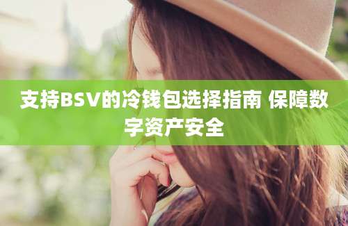 支持BSV的冷钱包选择指南 保障数字资产安全