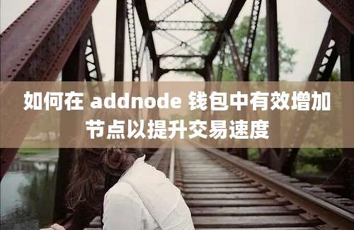 如何在 addnode 钱包中有效增加节点以提升交易速度