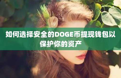 如何选择安全的DOGE币提现钱包以保护你的资产