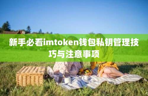 新手必看imtoken钱包私钥管理技巧与注意事项