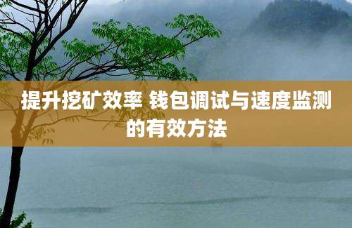 提升挖矿效率 钱包调试与速度监测的有效方法