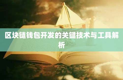 区块链钱包开发的关键技术与工具解析