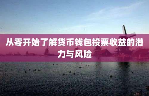 从零开始了解货币钱包投票收益的潜力与风险