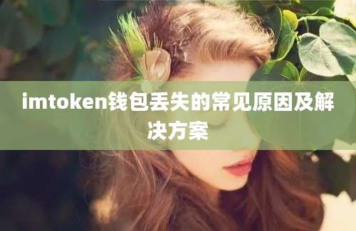 imtoken钱包丢失的常见原因及解决方案