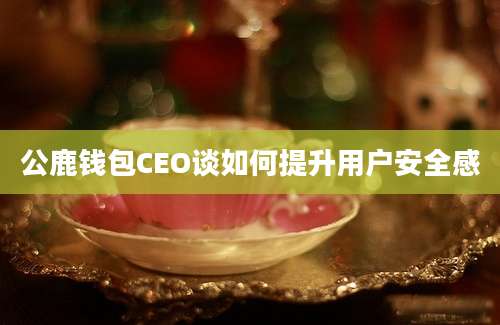 公鹿钱包CEO谈如何提升用户安全感