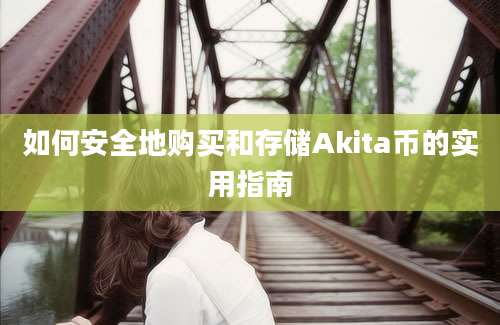 如何安全地购买和存储Akita币的实用指南