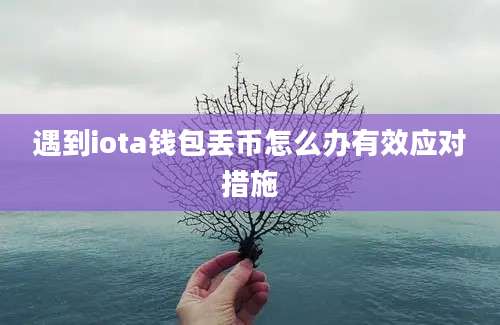 遇到iota钱包丢币怎么办有效应对措施