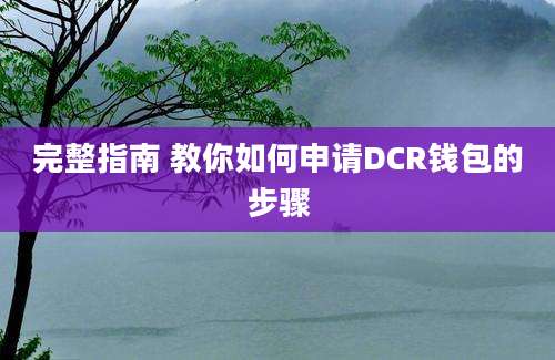 完整指南 教你如何申请DCR钱包的步骤