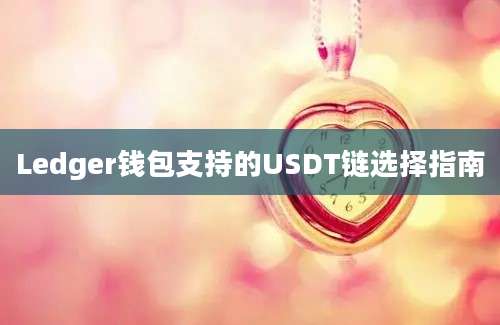 Ledger钱包支持的USDT链选择指南