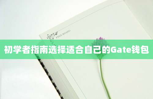 初学者指南选择适合自己的Gate钱包