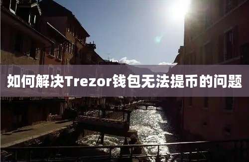 如何解决Trezor钱包无法提币的问题