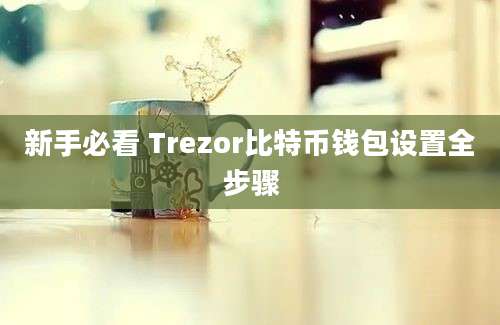 新手必看 Trezor比特币钱包设置全步骤