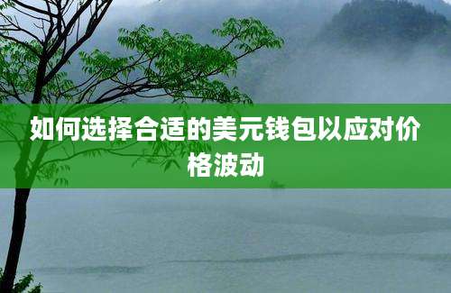 如何选择合适的美元钱包以应对价格波动