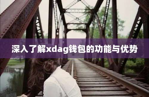 深入了解xdag钱包的功能与优势