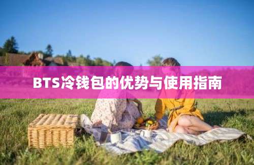 BTS冷钱包的优势与使用指南