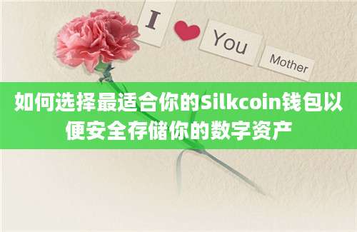 如何选择最适合你的Silkcoin钱包以便安全存储你的数字资产