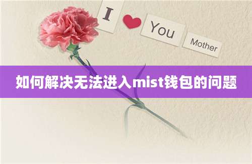 如何解决无法进入mist钱包的问题