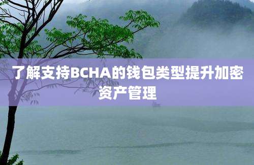 了解支持BCHA的钱包类型提升加密资产管理