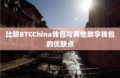 比较BTCChina钱包与其他数字钱包的优缺点