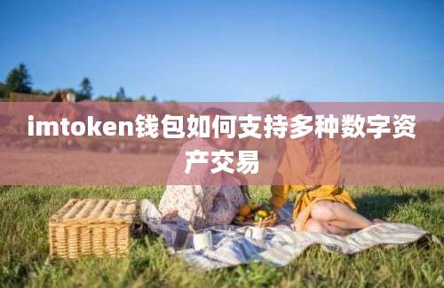 imtoken钱包如何支持多种数字资产交易